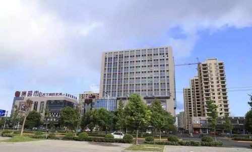 海鹽錦繡商業中心 售樓信息全解析與電子商務技術服務融合展望