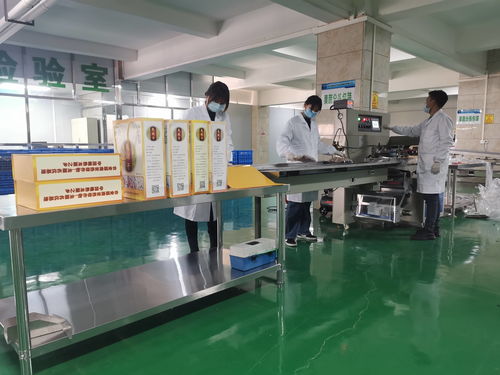 瀘縣電子商務技術服務 高質量推進農村綜合示范建設項目